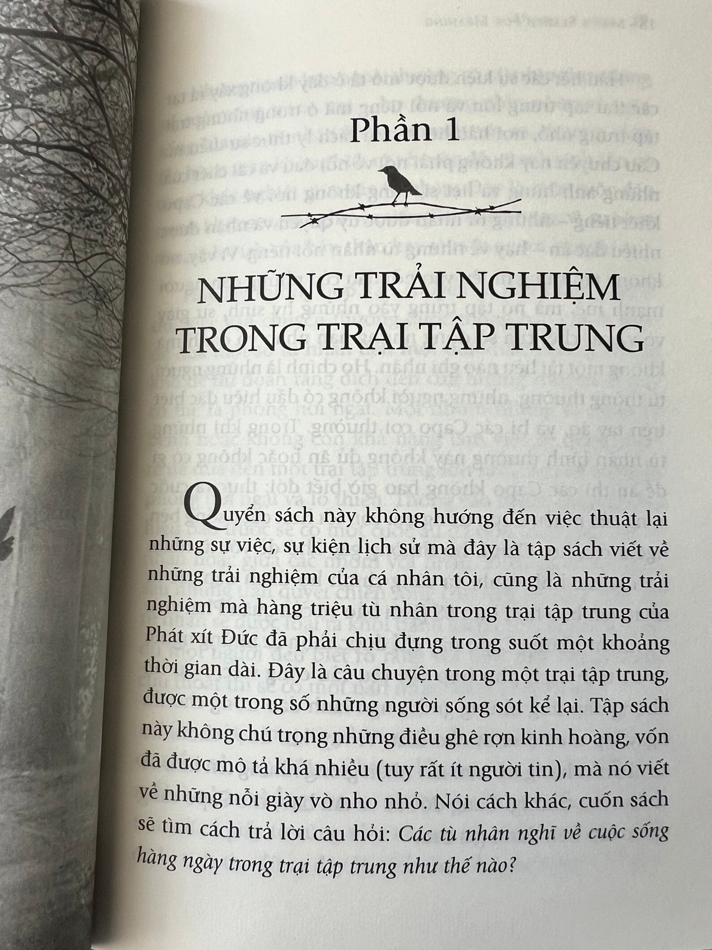 Tìm Kiếm Ý Nghĩa Cuộc Sống